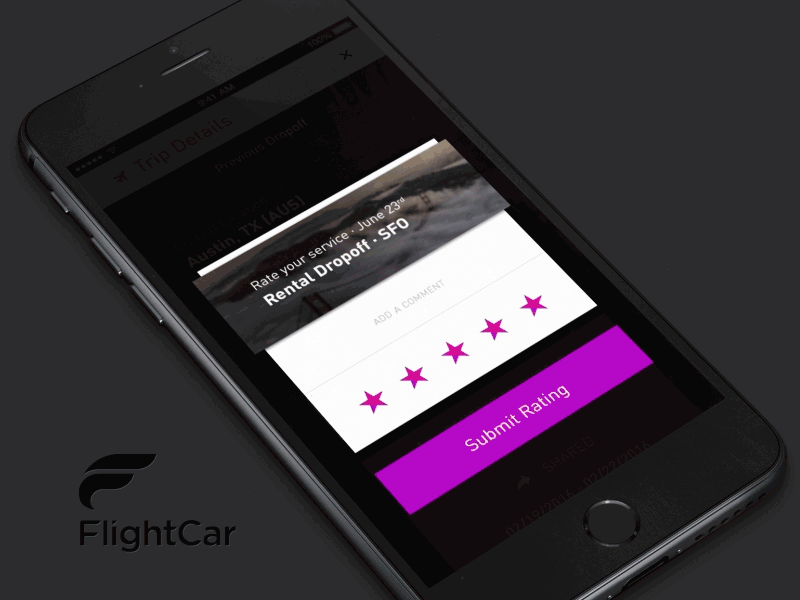 FlightCar Surveys 1